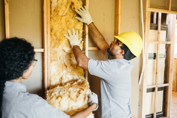 Best Radiant Barrier Insulation  in Greenfield, TN